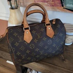Louis Vuitton Monogram Speedy 25 Bag